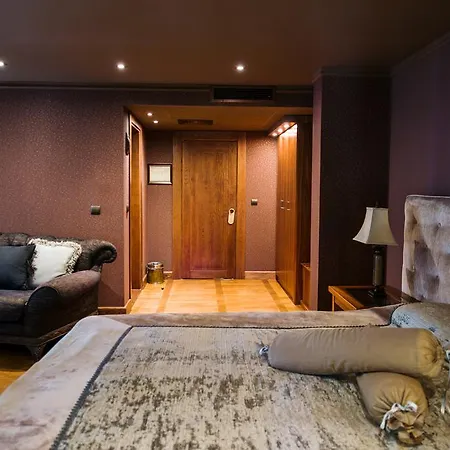 酒店 文图拉精品酒店 3*