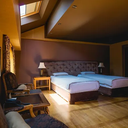 酒店 文图拉精品酒店