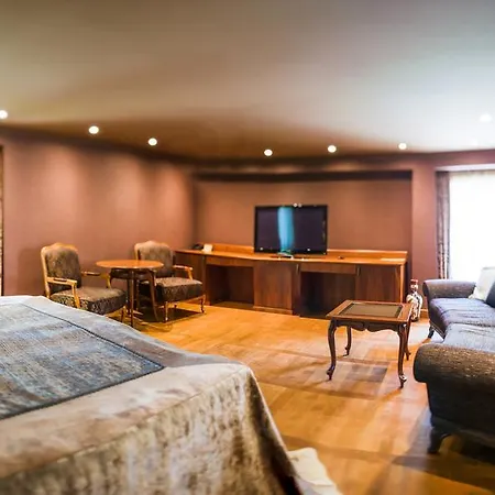 酒店 文图拉精品酒店 3*